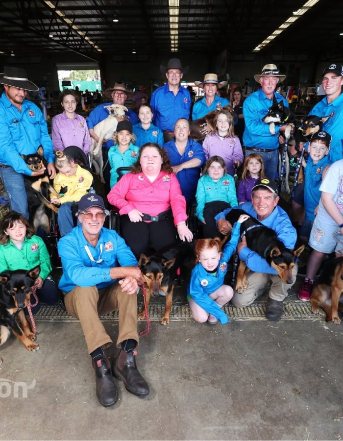 Kelpies for kids